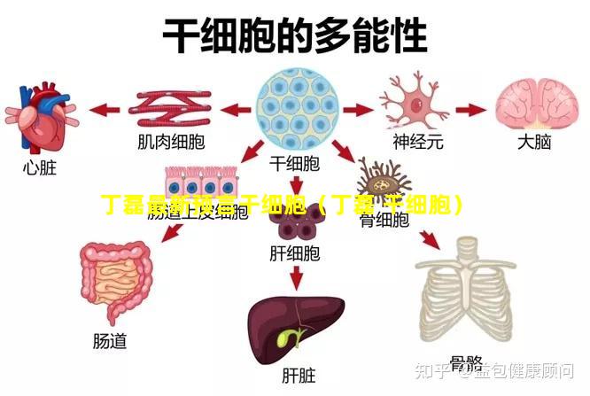 丁磊最新预言干细胞（丁磊 干细胞）